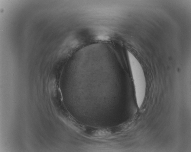 X0000062130223200512161200