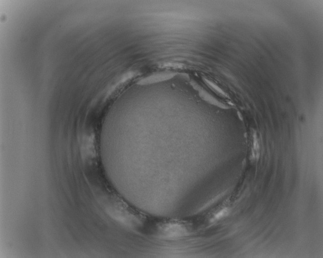 X0000062130224200512161200