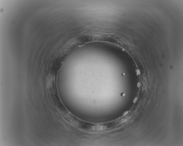 X0000062130225200512161200