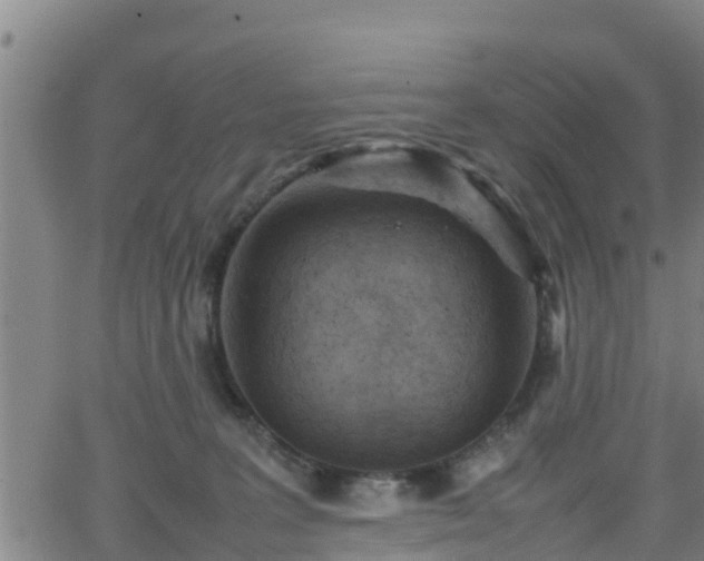 X0000062130227200512161200