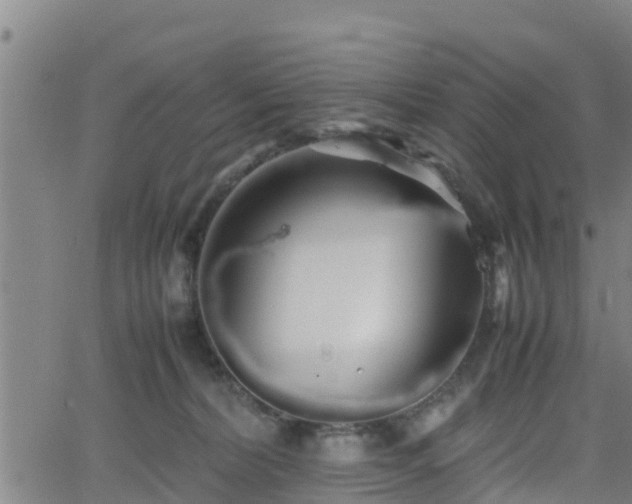 X0000062130228200512161200