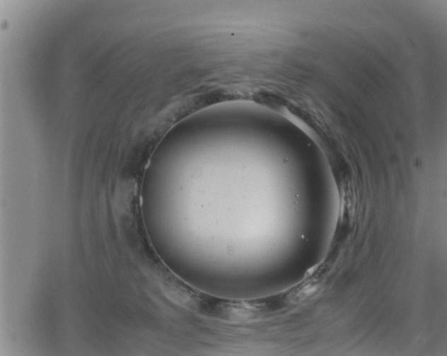 X0000062130229200512161200