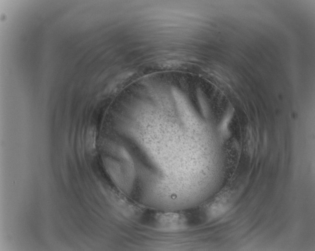 X0000062130230200512161200