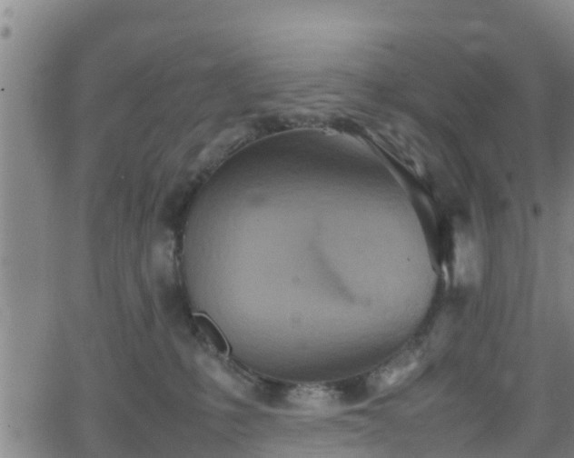 X0000062130231200512161200