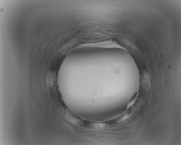 X0000062130233200512161200