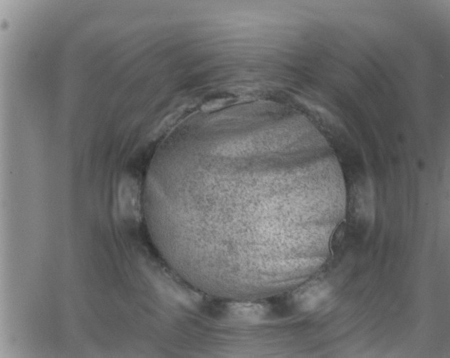 X0000062130234200512161200