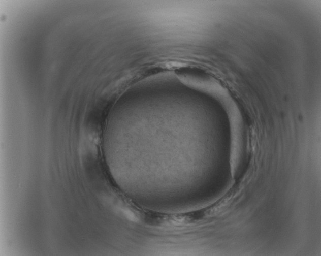 X0000062130235200512161200