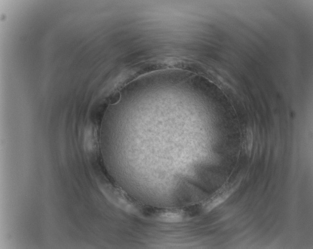 X0000062130236200512161200