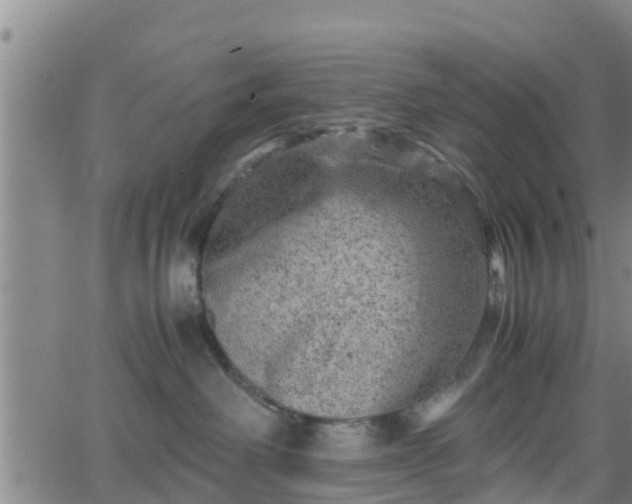 X0000062130238200512161200