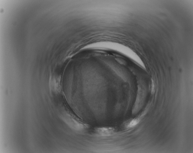 X0000062130239200512161200