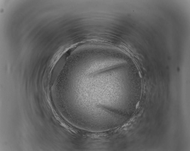 X0000062130241200512161159