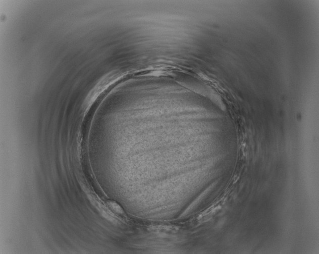 X0000062130242200512161159