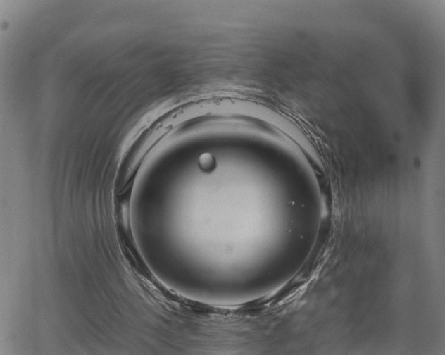 X0000062130244200512161159