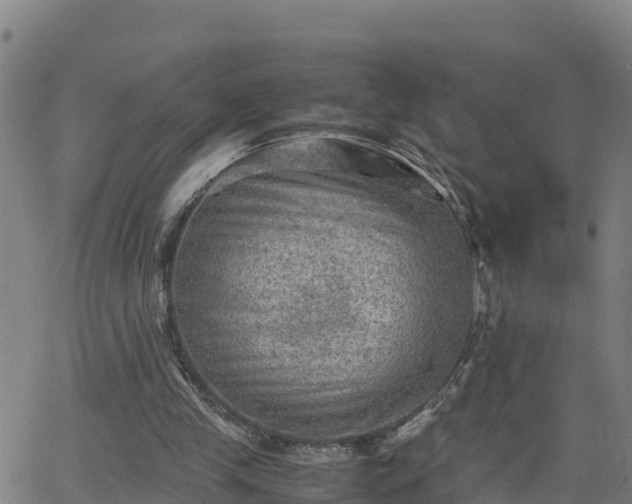 X0000062130245200512161159