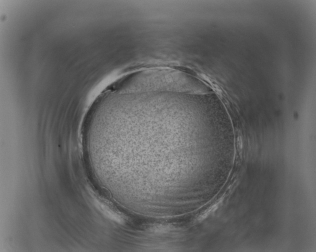 X0000062130246200512161159