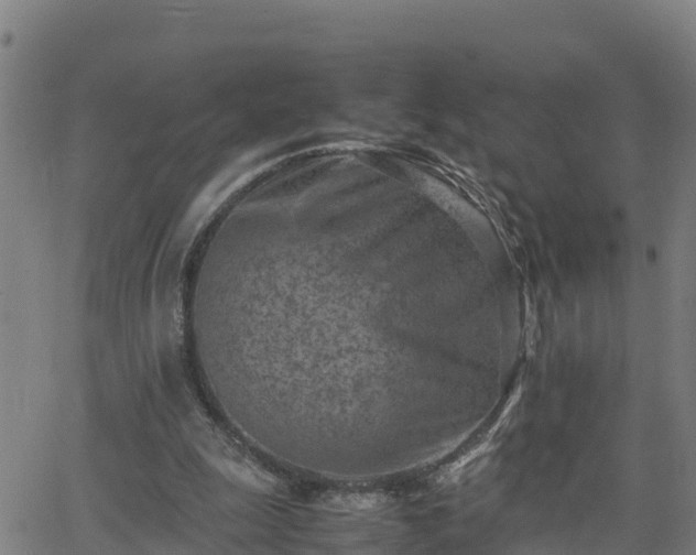 X0000062130247200512161159