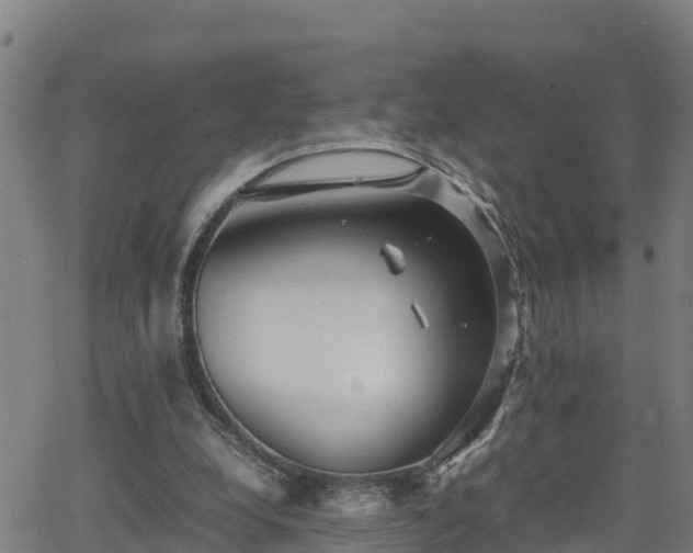 X0000062130248200512161159