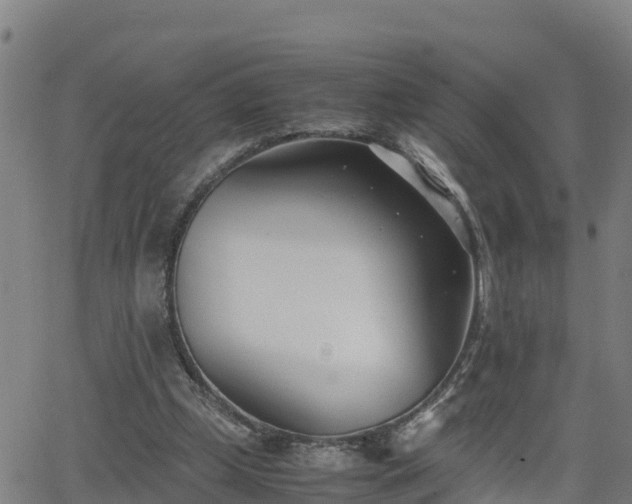 X0000062130249200512161159