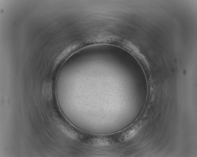 X0000062130250200512161159