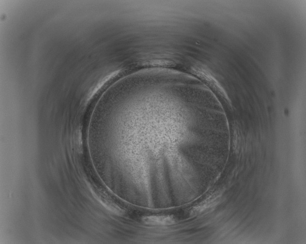 X0000062130251200512161159