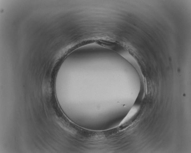 X0000062130252200512161159