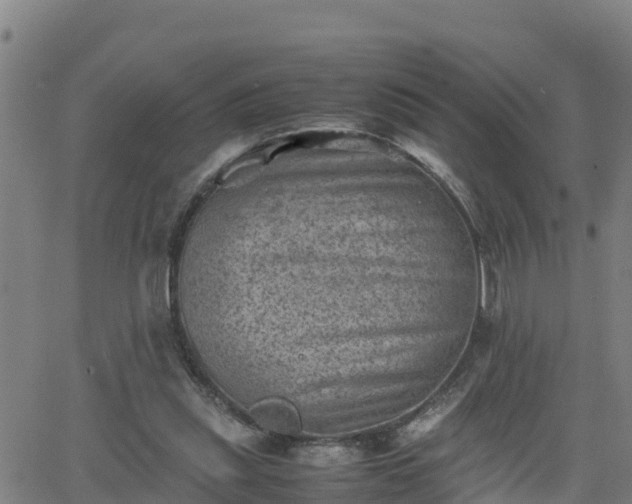 X0000062130253200512161159