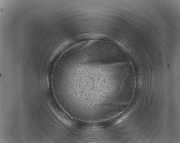 X0000062130254200512161159