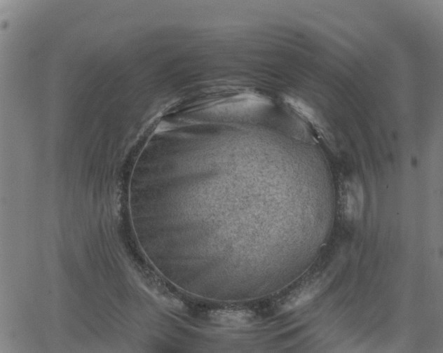 X0000062130255200512161159