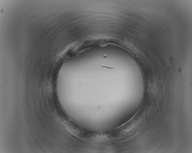 X0000062130256200512161159