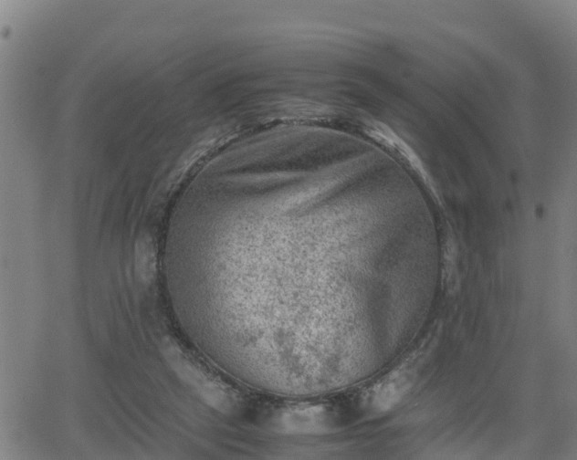 X0000062130257200512161159