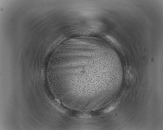 X0000062130258200512161159