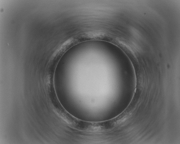 X0000062130260200512161159