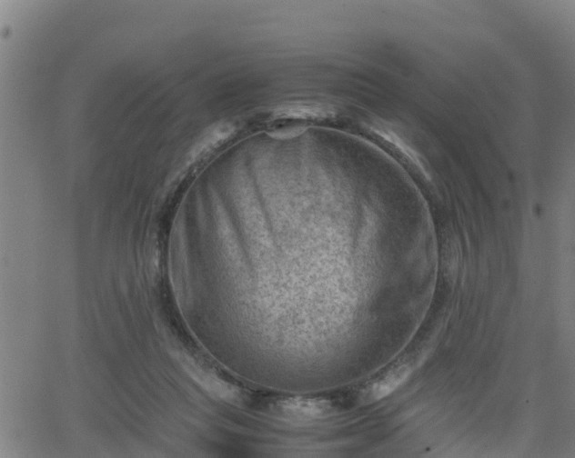 X0000062130261200512161159