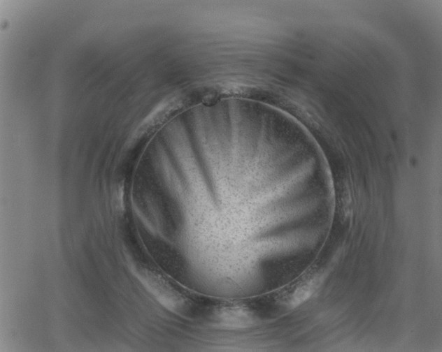 X0000062130262200512161159