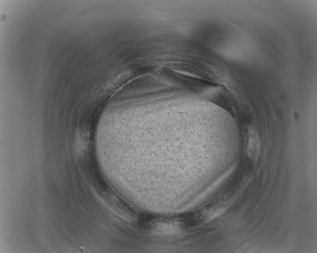 X0000062130263200512161159