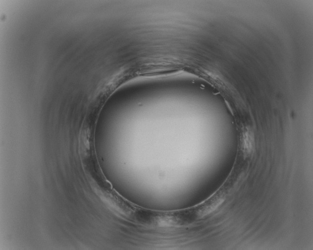 X0000062130264200512161159