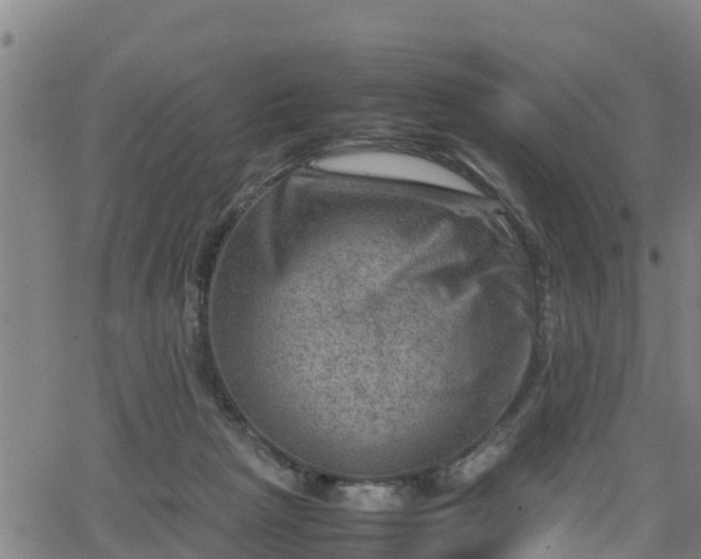 X0000062130265200512161159