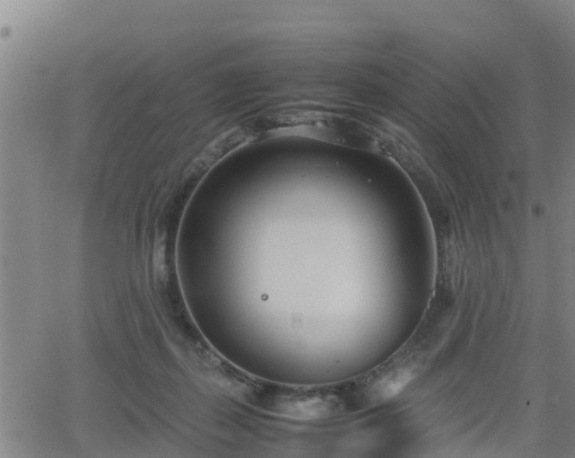 X0000062130267200512161159