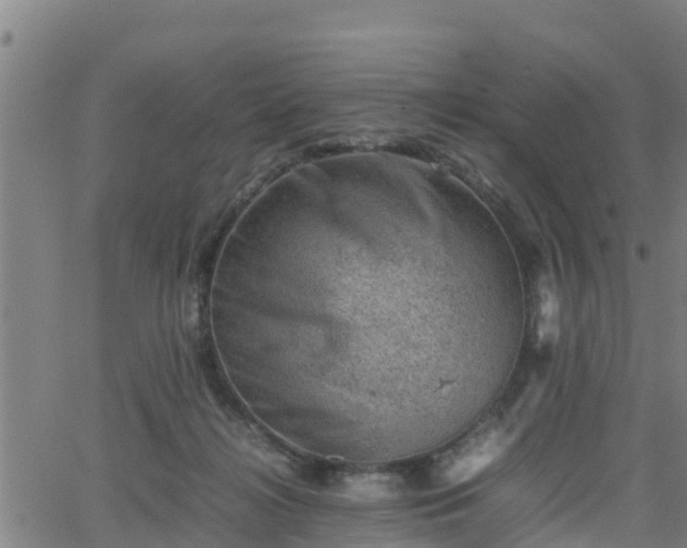 X0000062130268200512161159