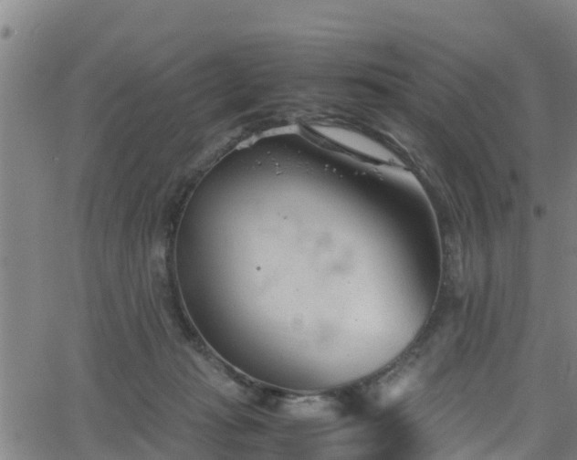 X0000062130269200512161200