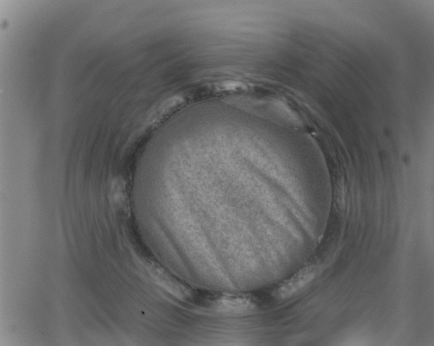 X0000062130270200512161200