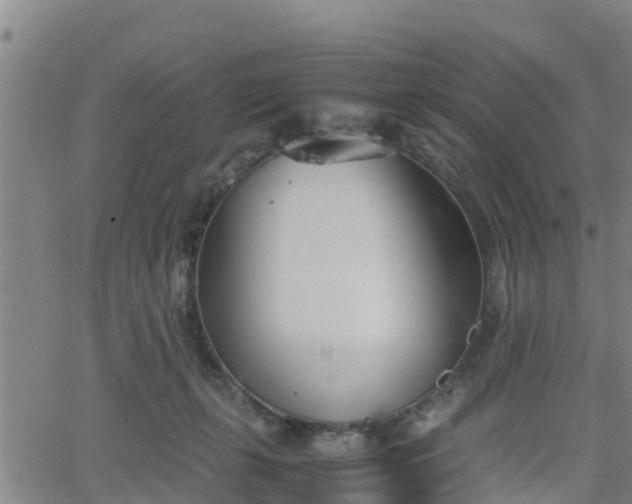 X0000062130271200512161200