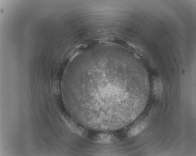 X0000062130272200512161200