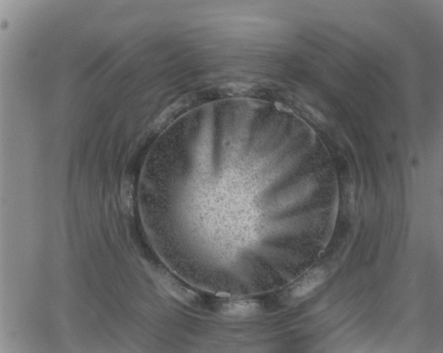 X0000062130274200512161200