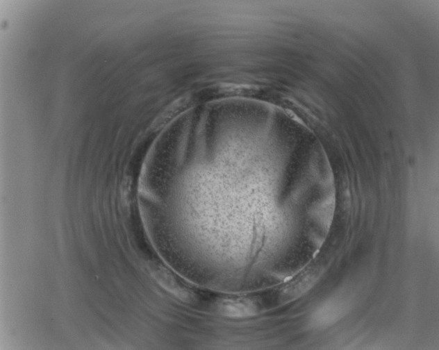 X0000062130275200512161200