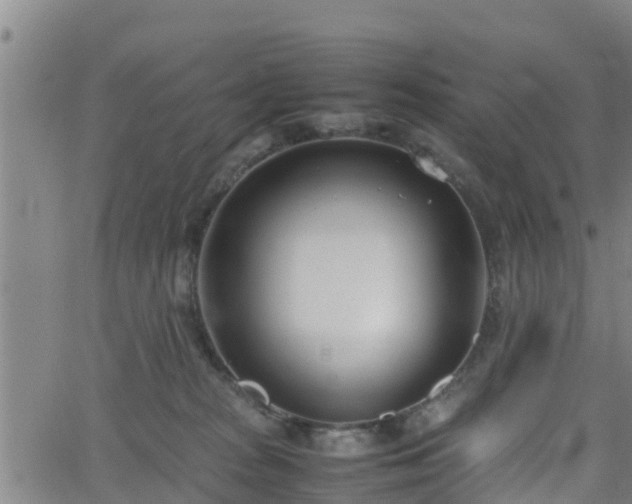 X0000062130277200512161200