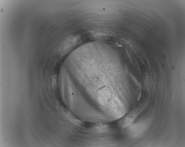 X0000062130278200512161200