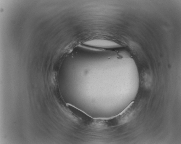 X0000062130280200512161200