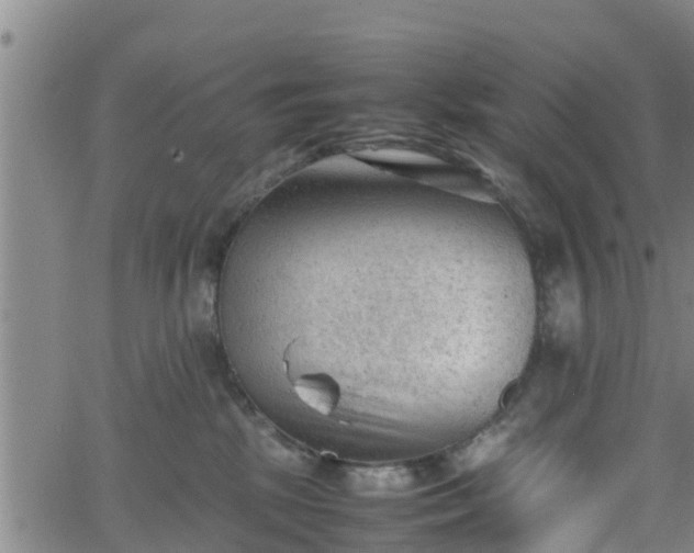 X0000062130281200512161200