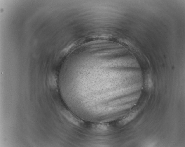 X0000062130282200512161200